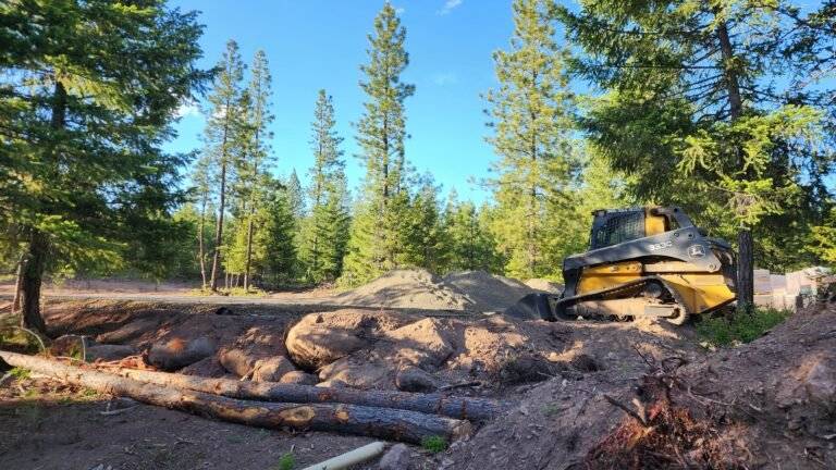 Property Before clearing