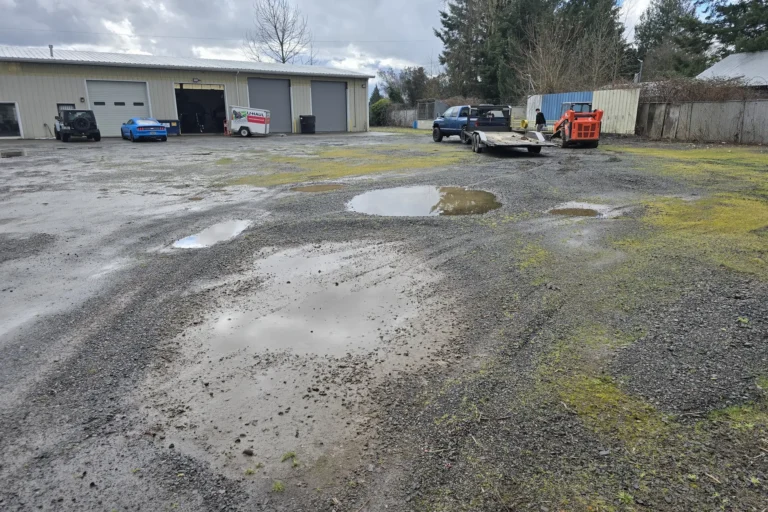 a dirt road with puddles