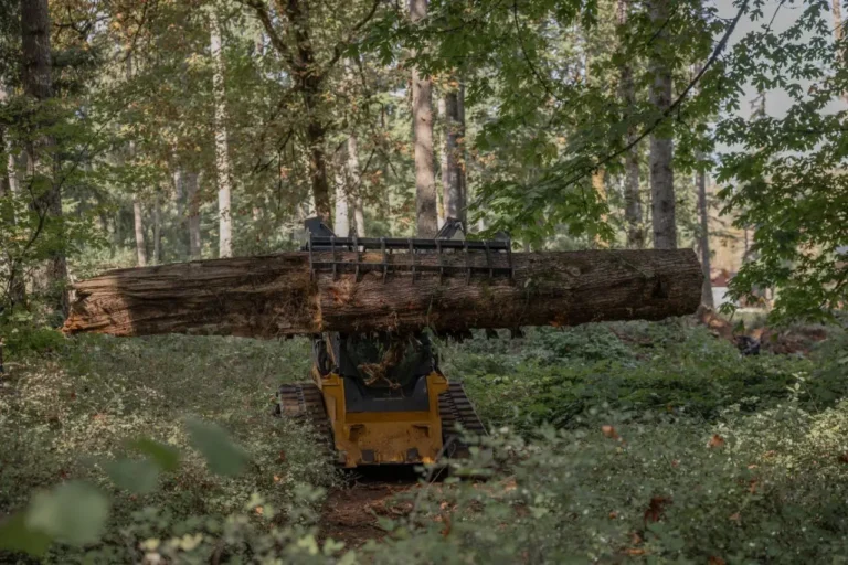 A bulldozer clearing land with a log in its paws